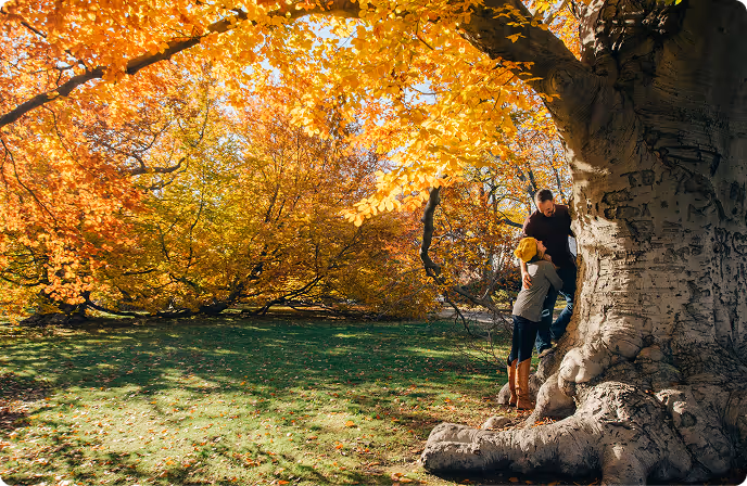 A man and a child standing next to a large tree with golden autumn leaves in a sunlit park.