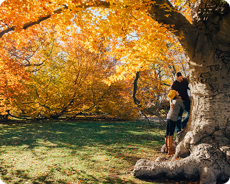Two people standing by a large tree with autumn-colored leaves in a sunny park.