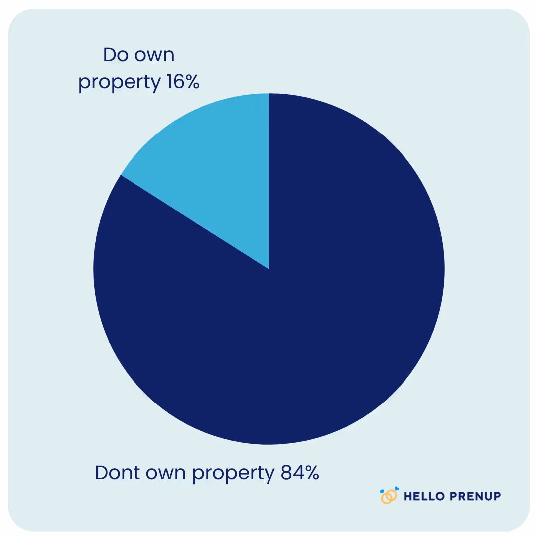 Pie chart showing 16% of people own property and 84% do not own property.