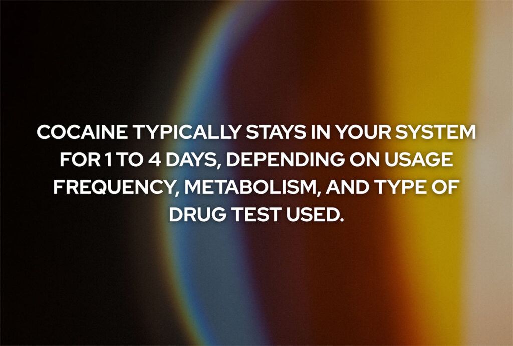 How Cocaine Works in the Body