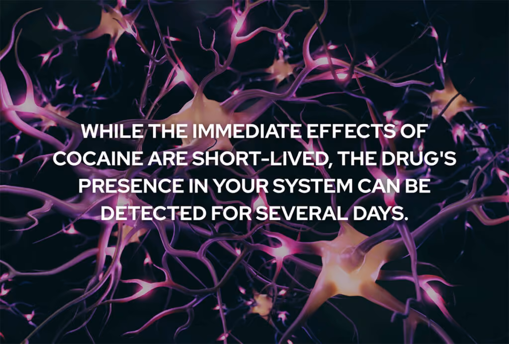 Risks of Prolonged Cocaine Use