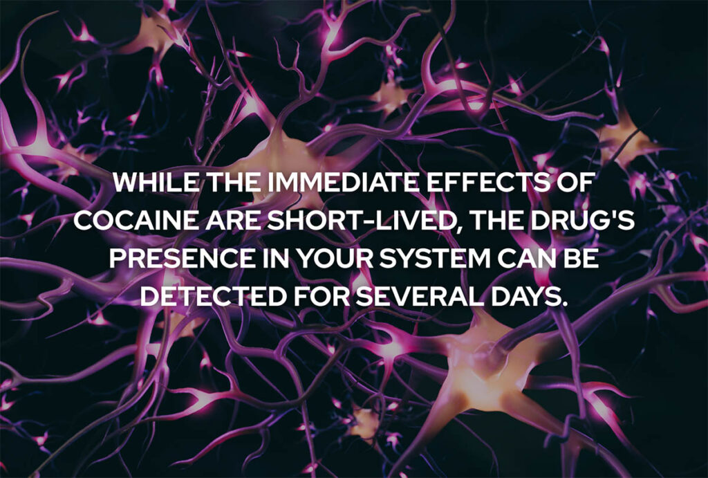 Risks of Prolonged Cocaine Use