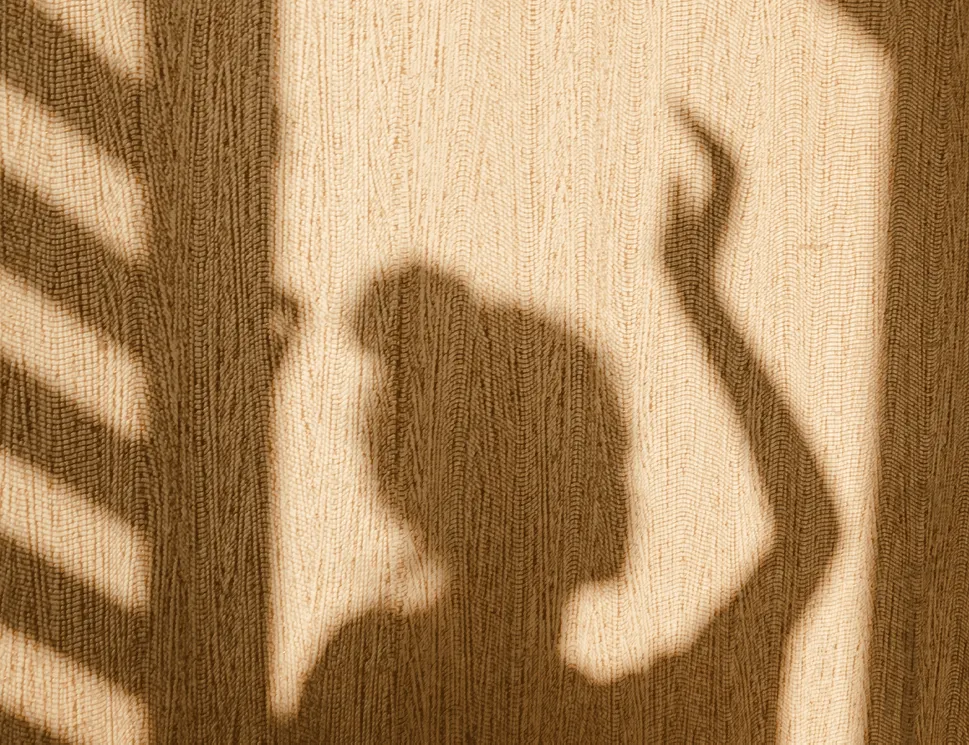A silhouette of a woman standing in soft, warm light filtering through window blinds, casting dramatic light-and-shadow patterns across the scene.