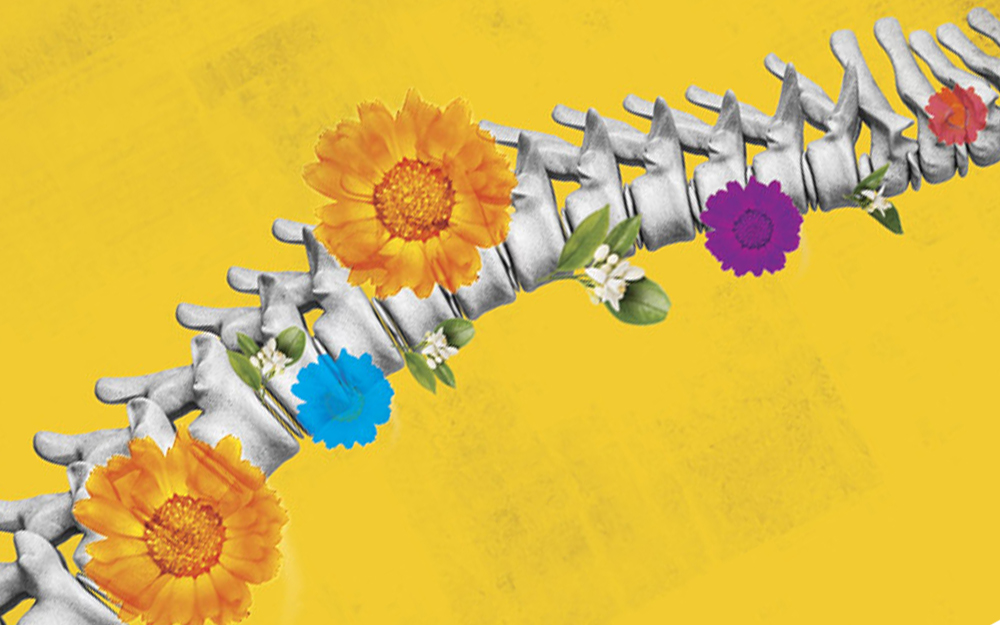 New Spin on Spinal Discs