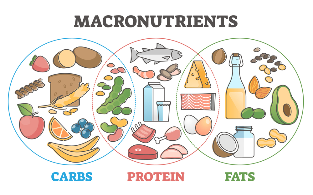 Know Your Macros'Why Macronutrients Are Key to Healthy Eating