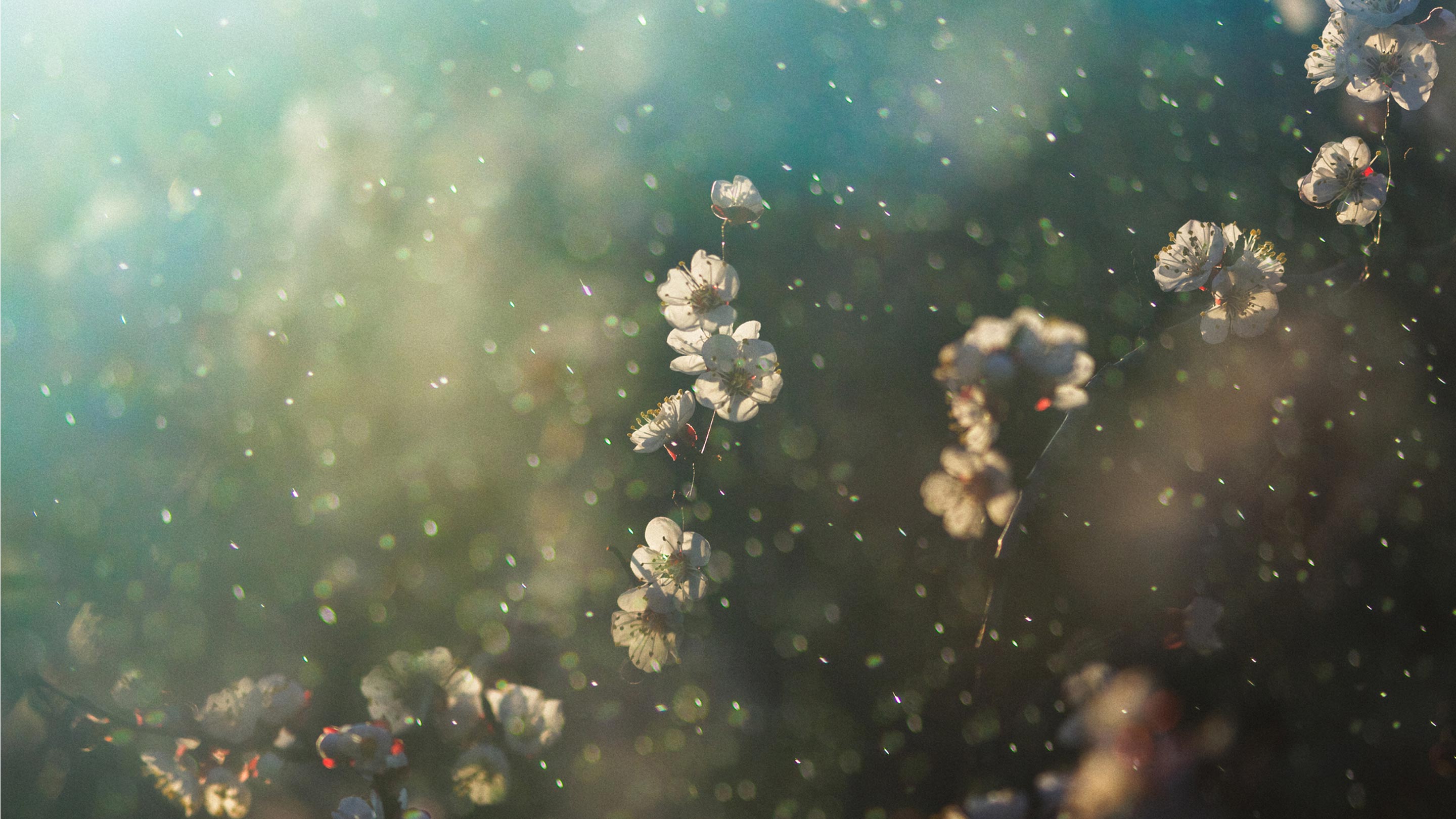 Is It Safe to Take Allergy Medicine Every Day?