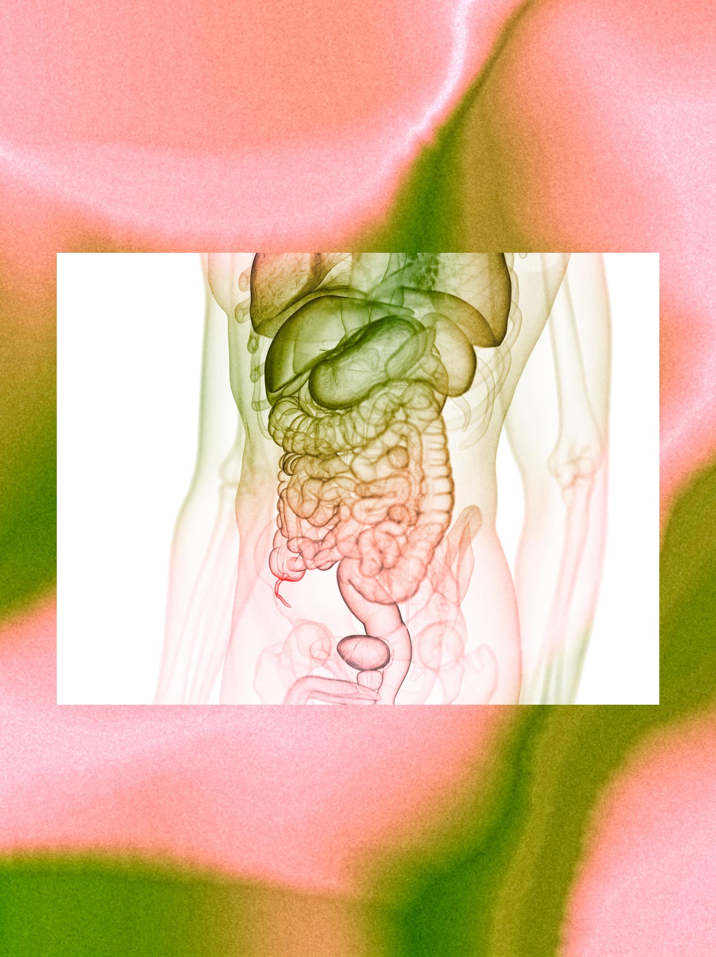What Does the Appendix Actually Do? 