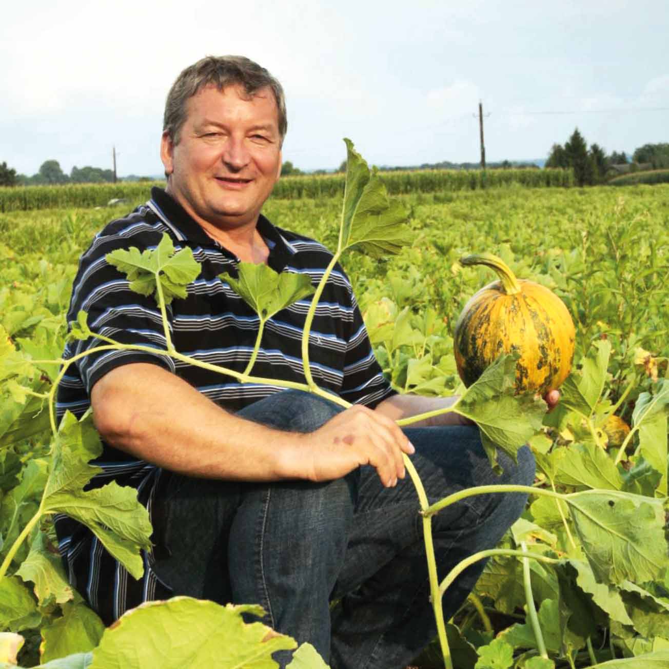 Ein Mann sitzt in einem Kürbisfeld