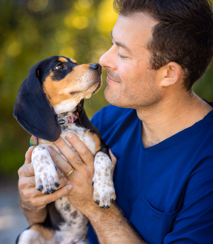 friendly veterinarian holding cute puppy dog.