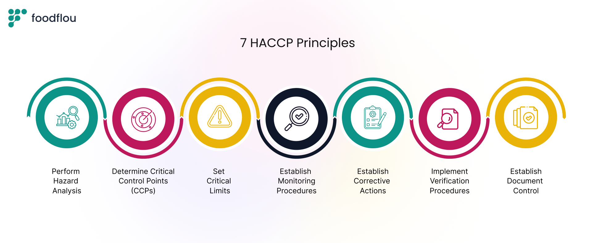 A visual overview of the seven HACCP principles shown as a row of circular icons. The principles displayed are performing hazard analysis, determining critical control points, setting critical limits, establishing monitoring procedures, establishing corrective actions, implementing verification procedures, and establishing document control. The design uses color coded icons to represent each principle