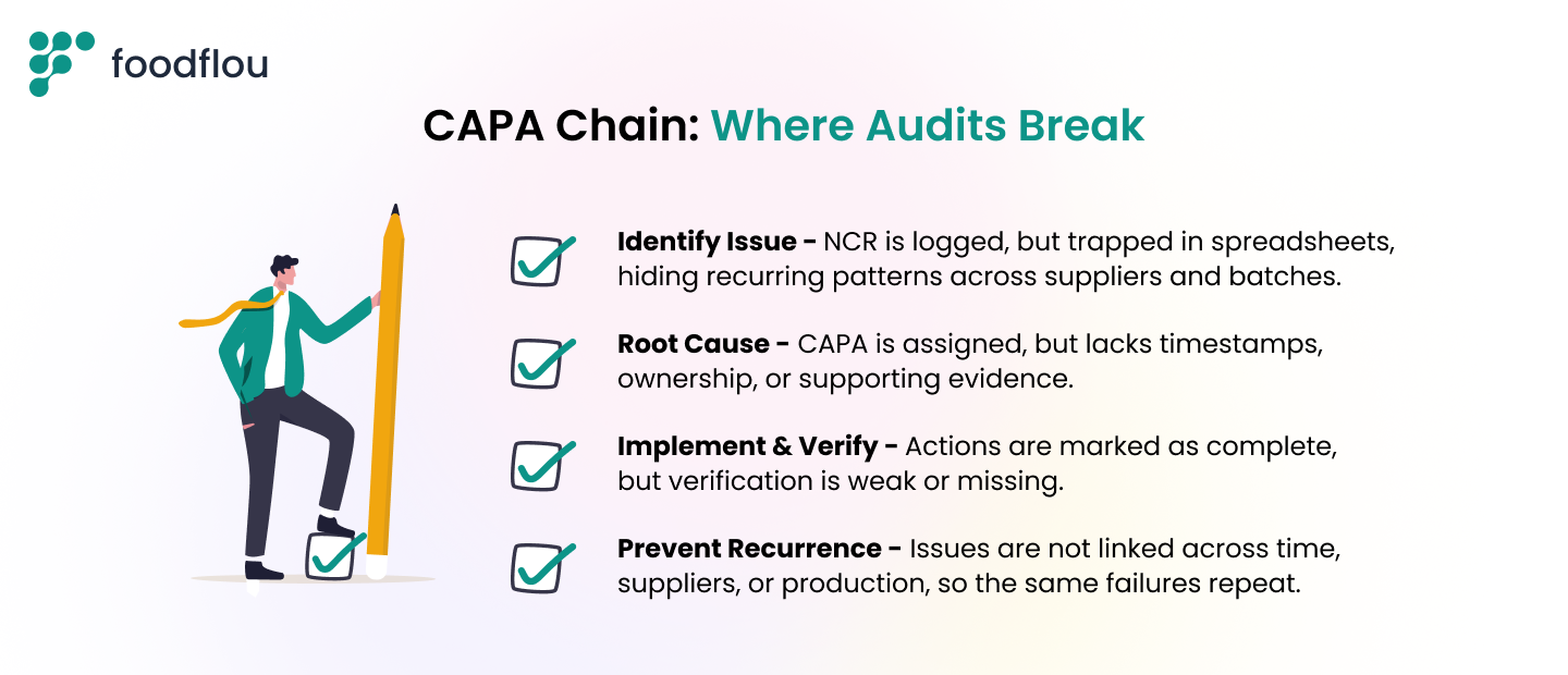 CAPA chain showing where audit failures occur in pet food systems, from NCR logging and root cause analysis to verification gaps and repeated issues across suppliers and batches.
