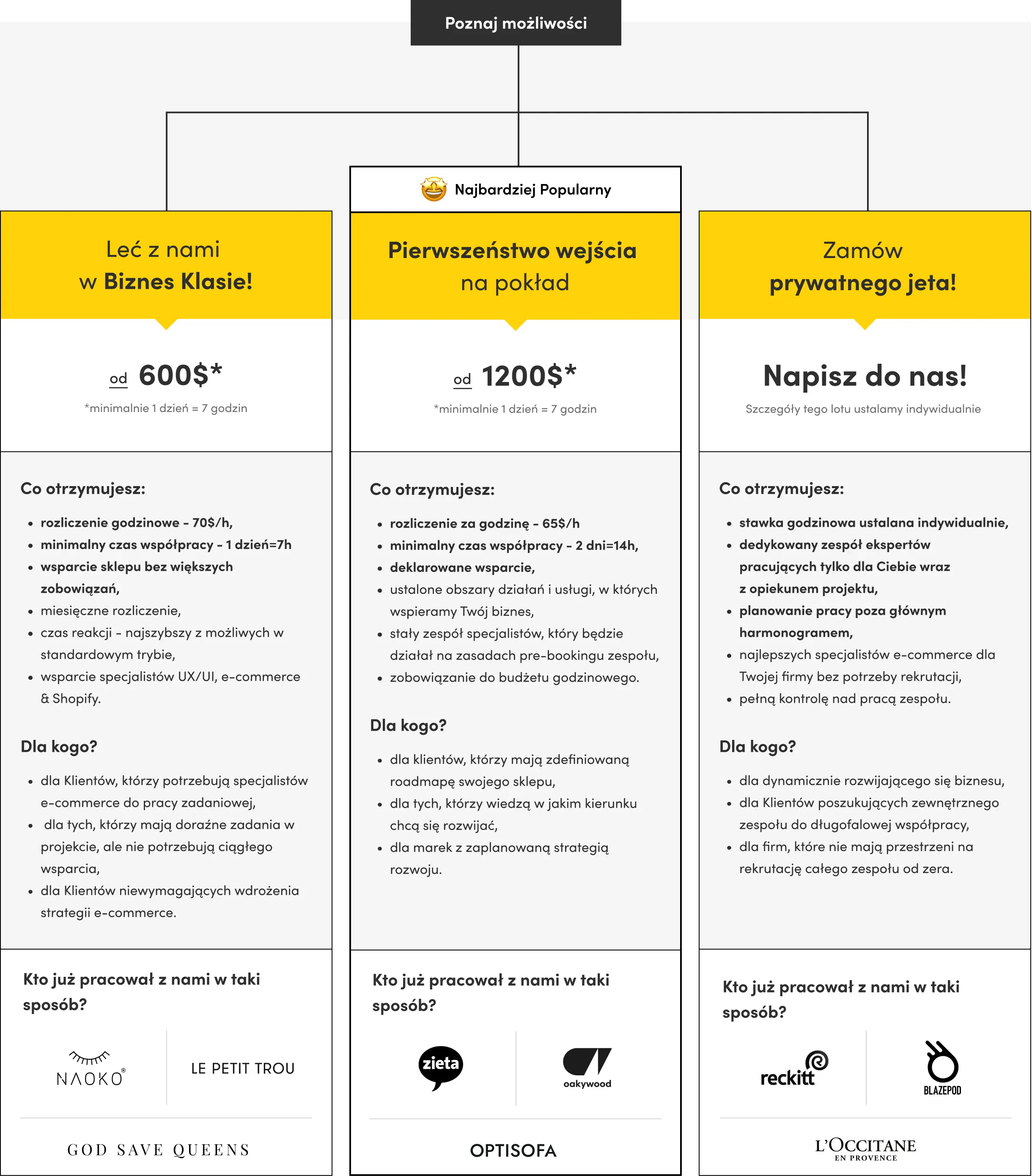 infografika opisująca szczegóły współpracy w modelu team augmentation