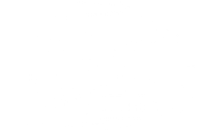 Logo graphic featuring a stylised stork with stripes representing Stripey Stork baby bank charity