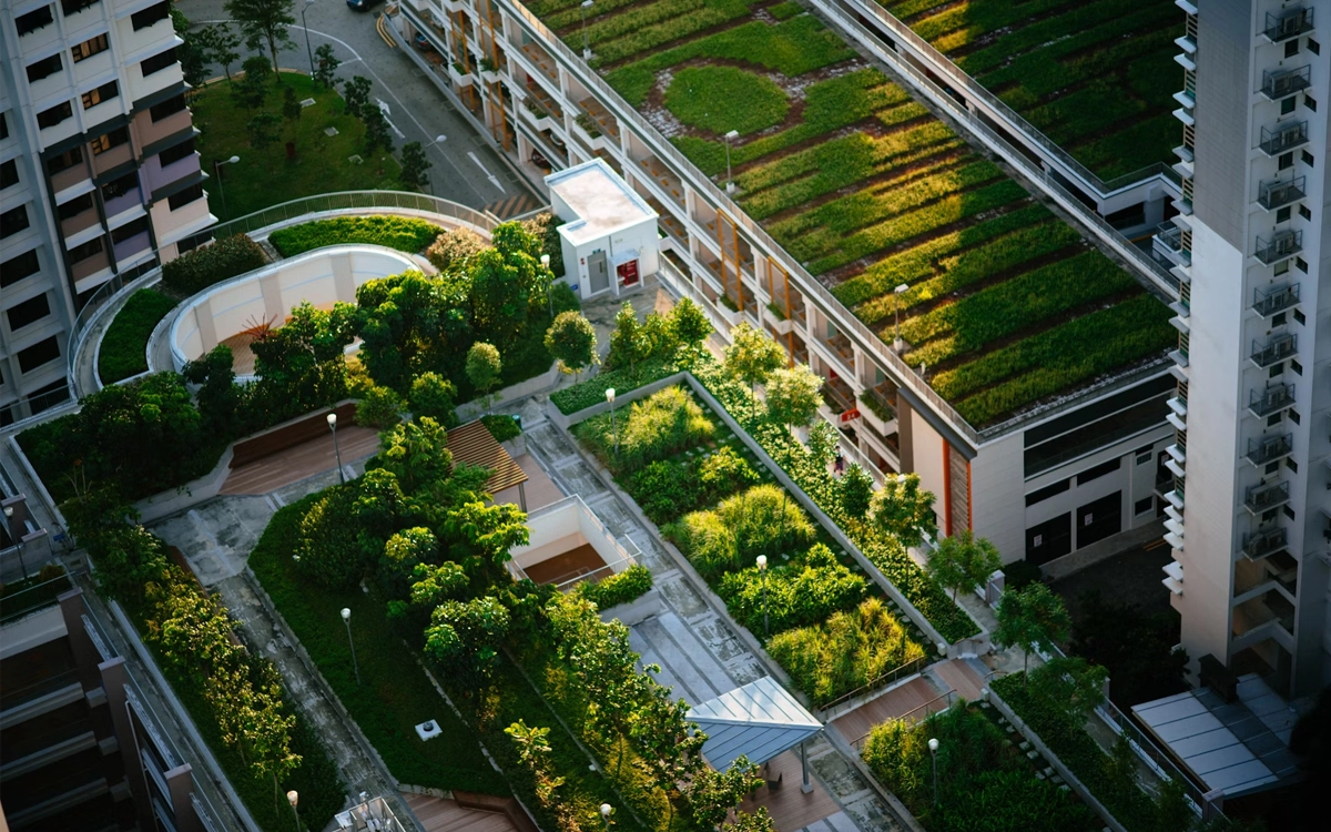 Le groupe Stonal lance l’Observatoire immobilier du projet de PLU bioclimatique de Paris