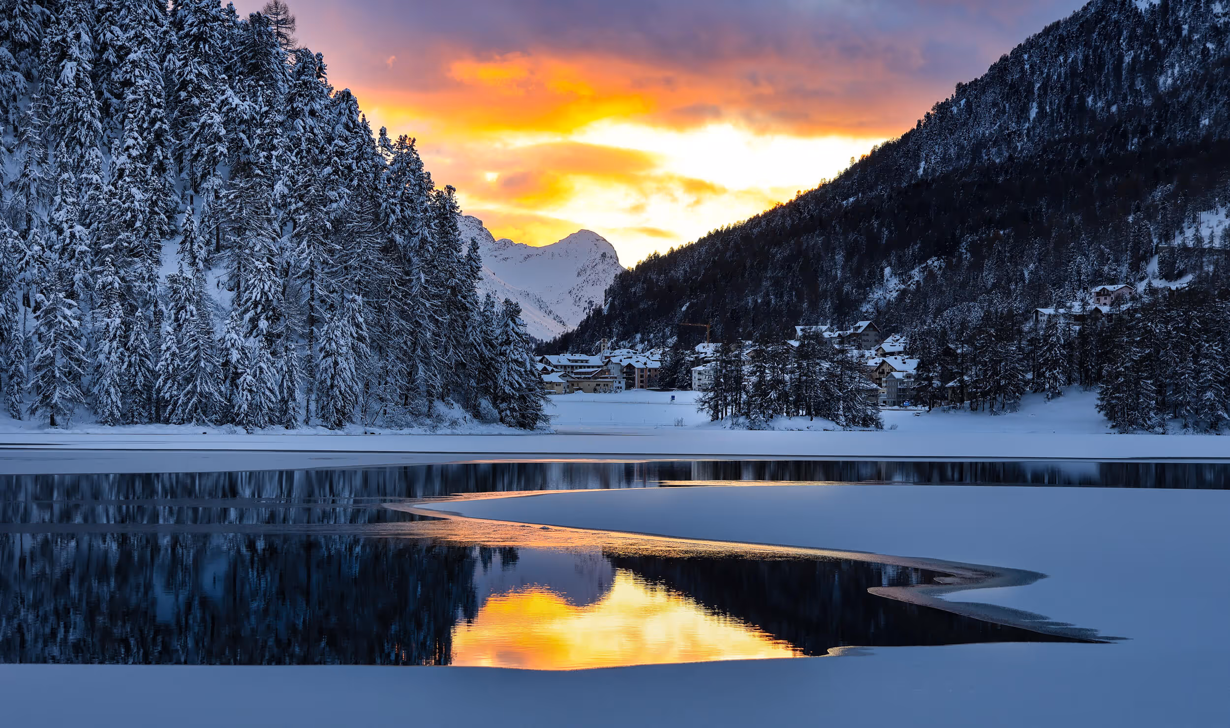 goldgelbe Lärchen im Engadin am Bach