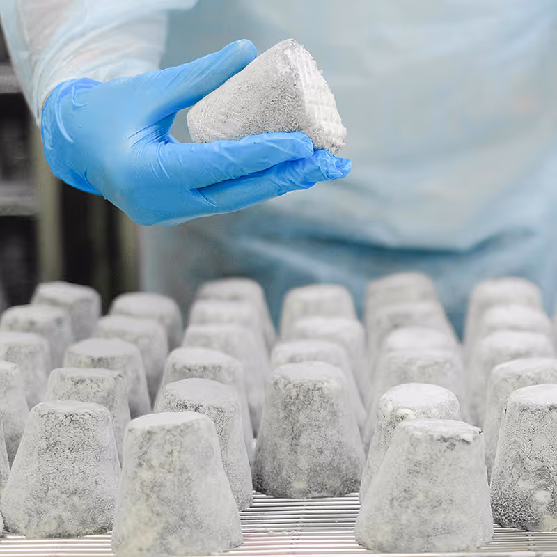 A hand in a blue glove picking up mold covered cheese