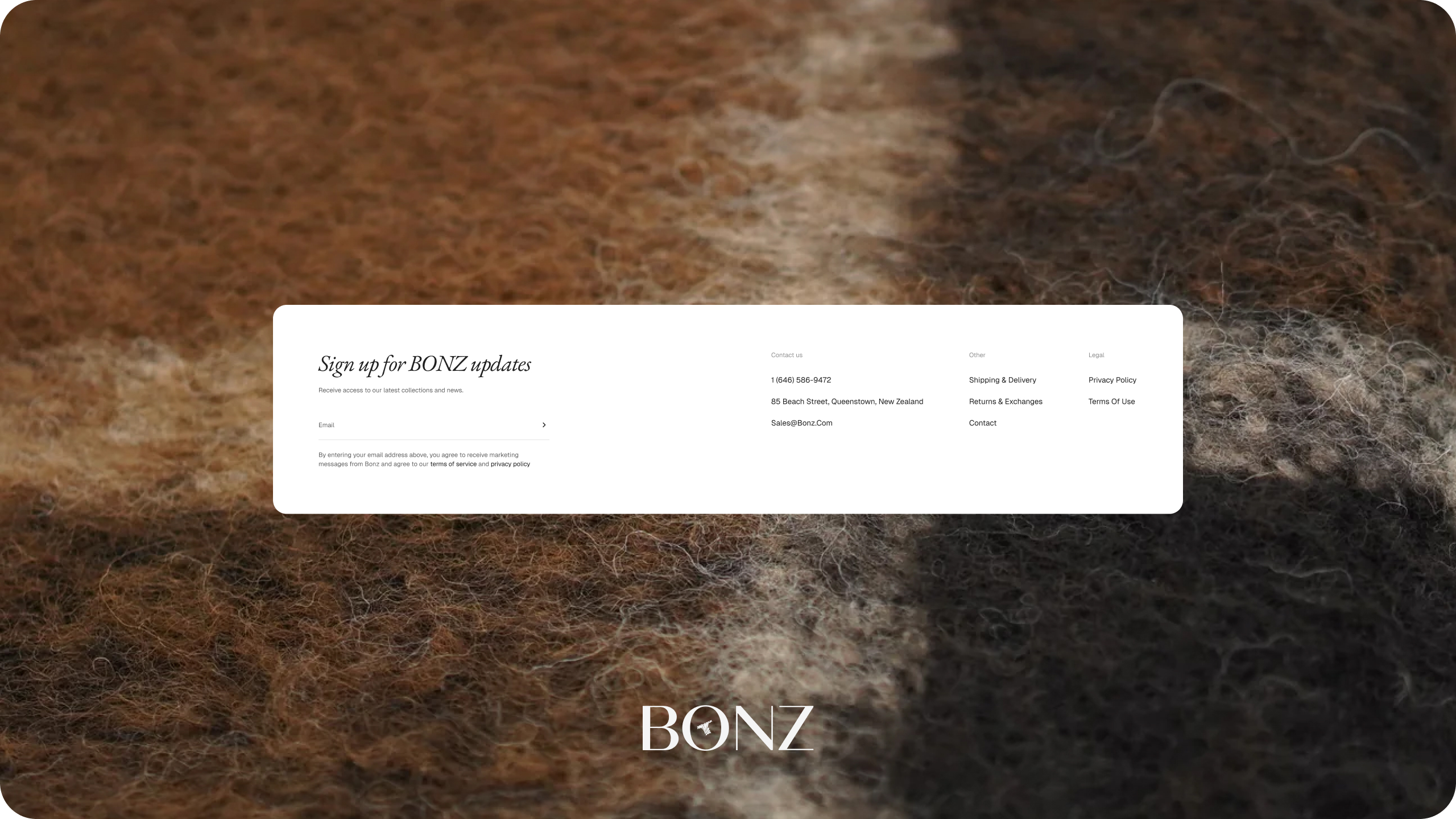 Bonz store pages on desktop and mobile