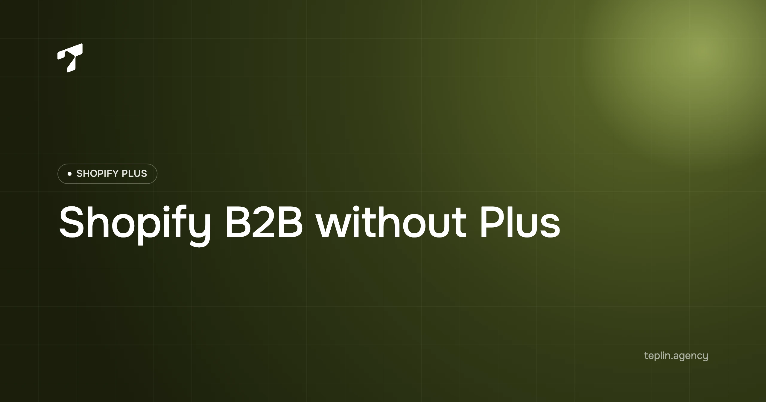 Shopify B2B Without Plus Is Finally Workable