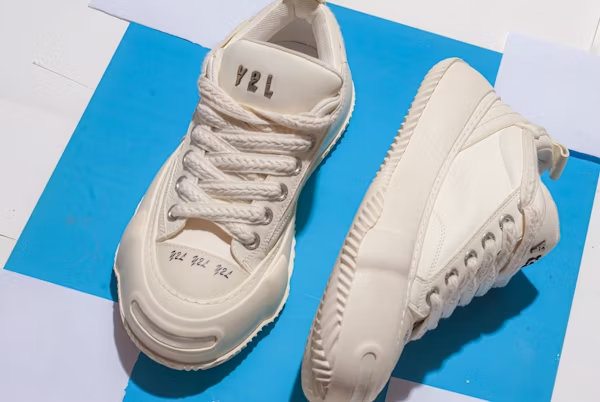 Nike P-6000: Exploring the Pegasus on the Moon.