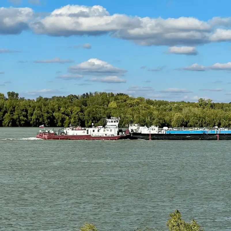 Leading Maritime Transportation Company Streamlines M&A with Autonomous AP