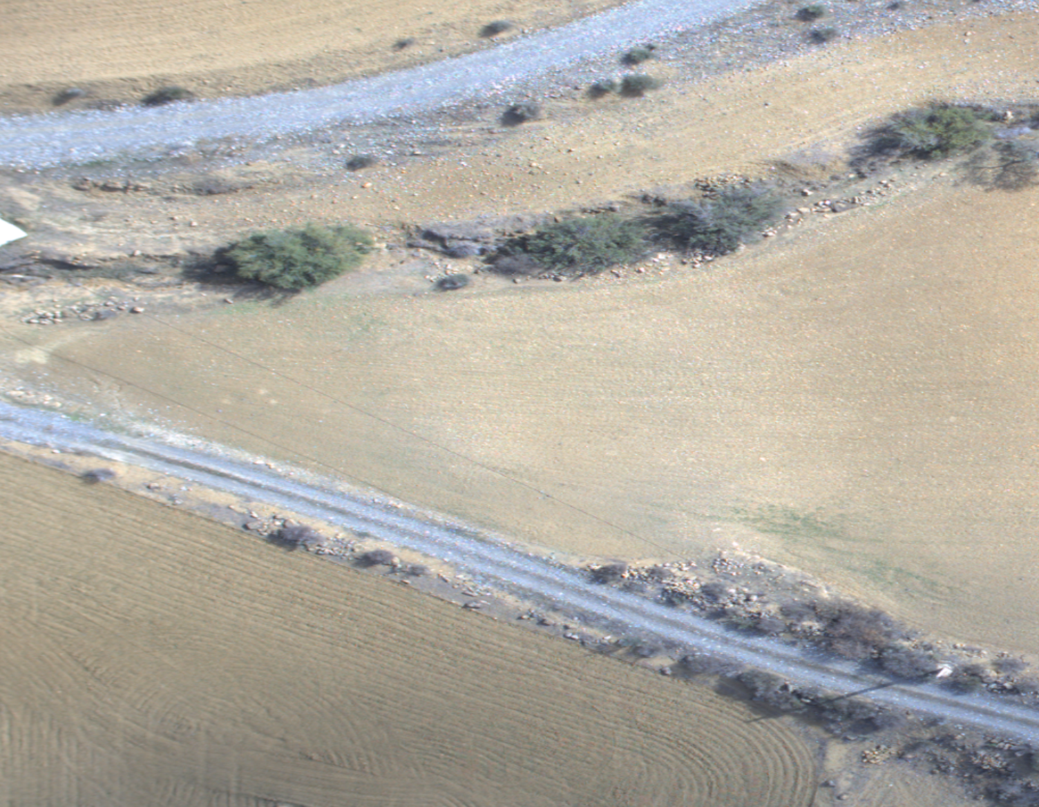 A dirt road through a fieldAI-generated content may be incorrect.