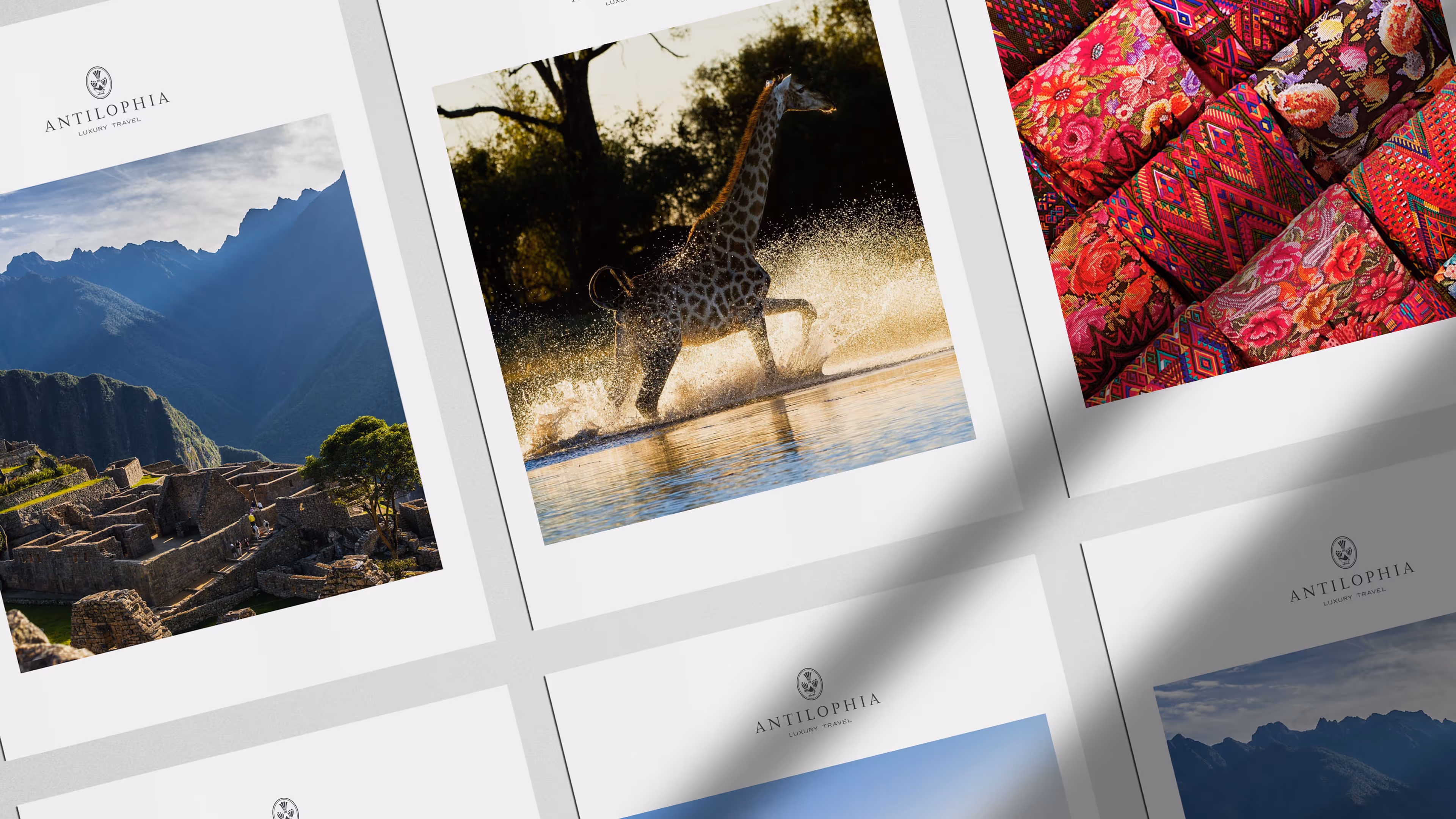 Mocked up graphic of the work carried out on the Antilophia project