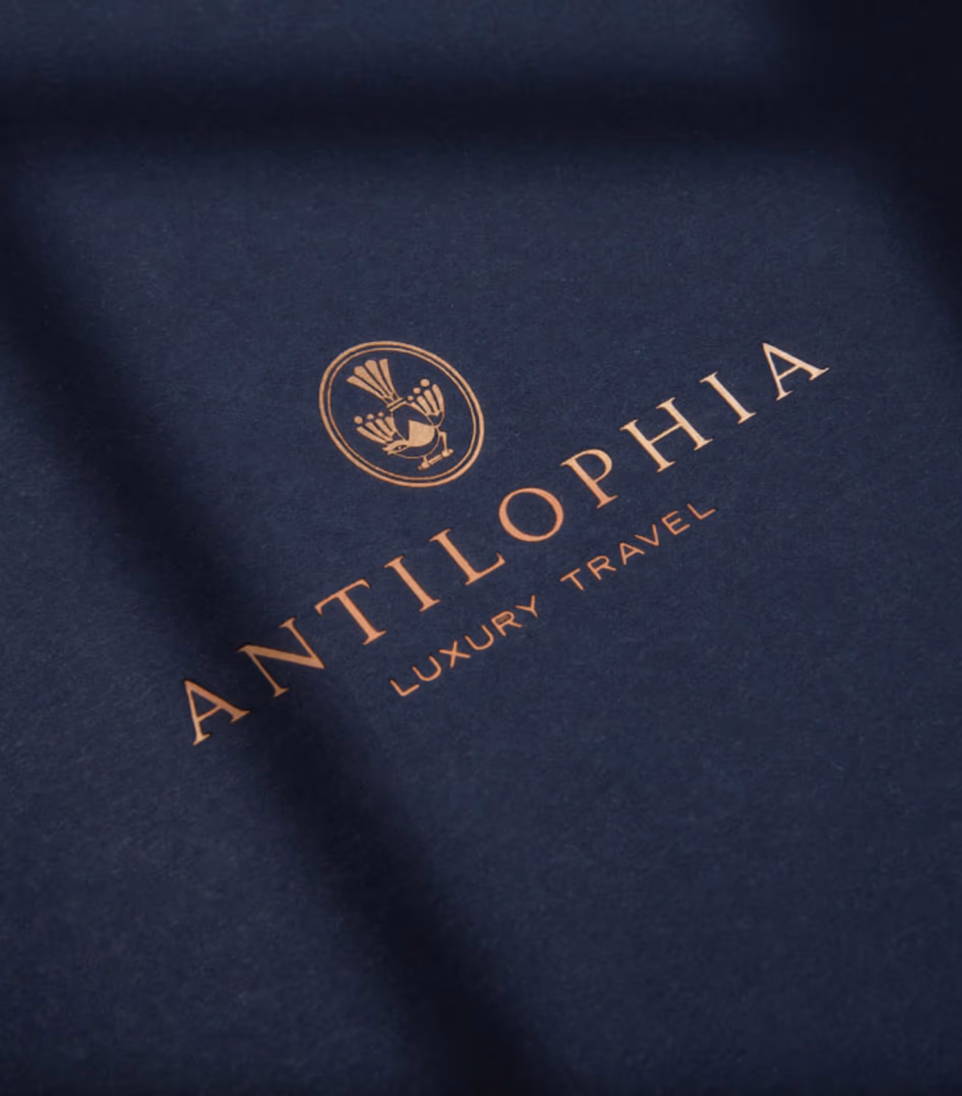 Mocked up graphic of the work carried out on the Antilophia project