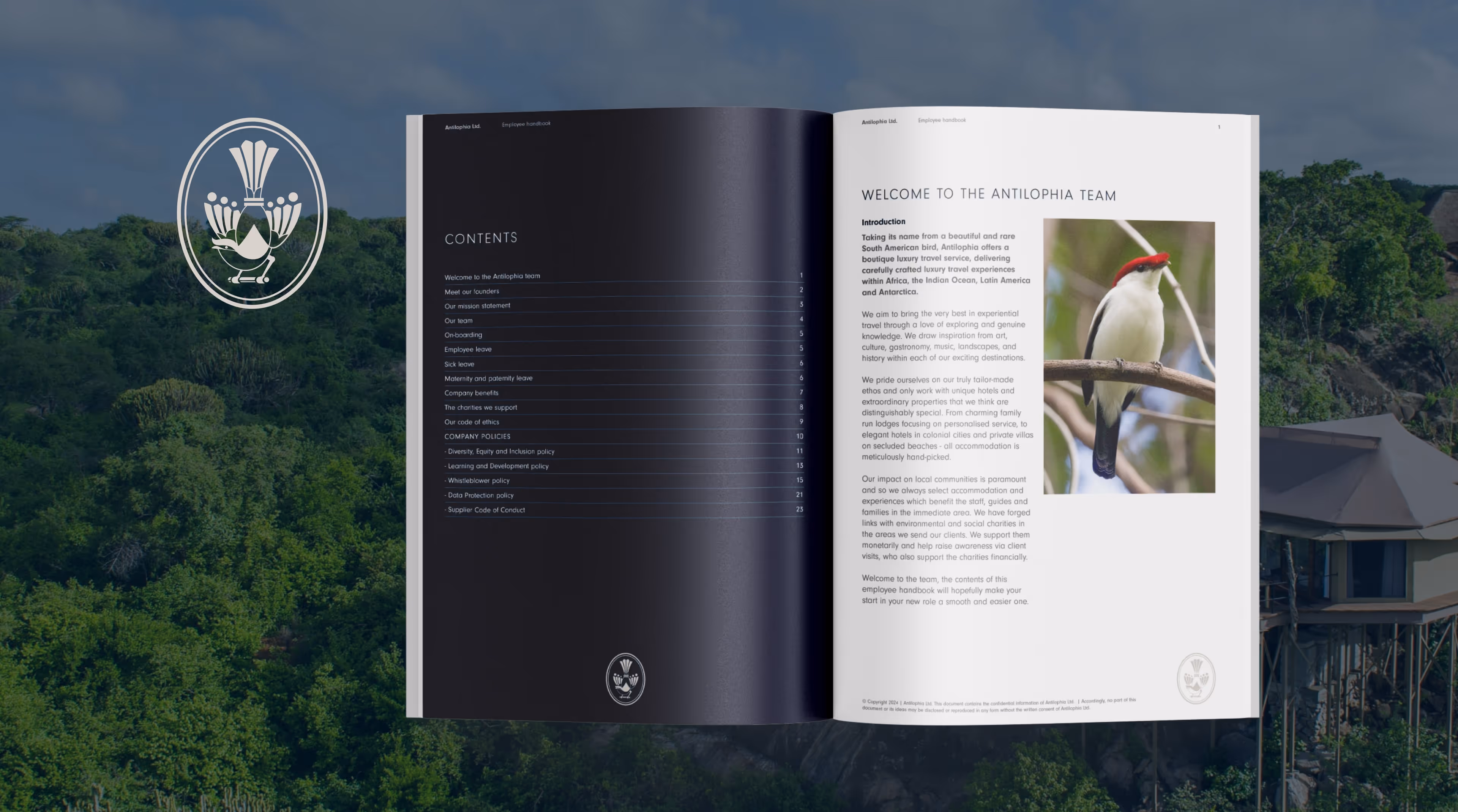 Mocked up graphic of the work carried out on the Antilophia project