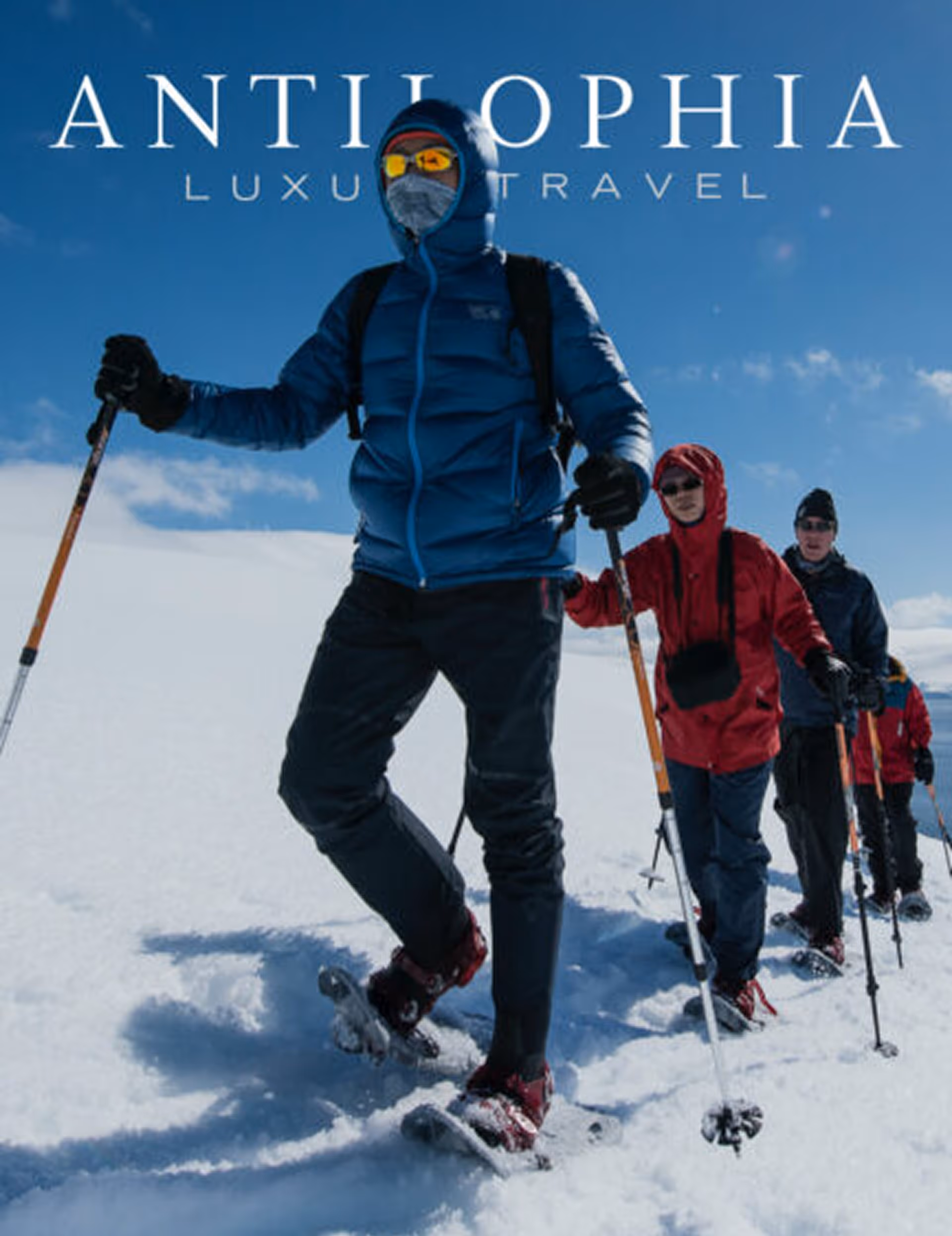 Mocked up graphic of the work carried out on the Antilophia project