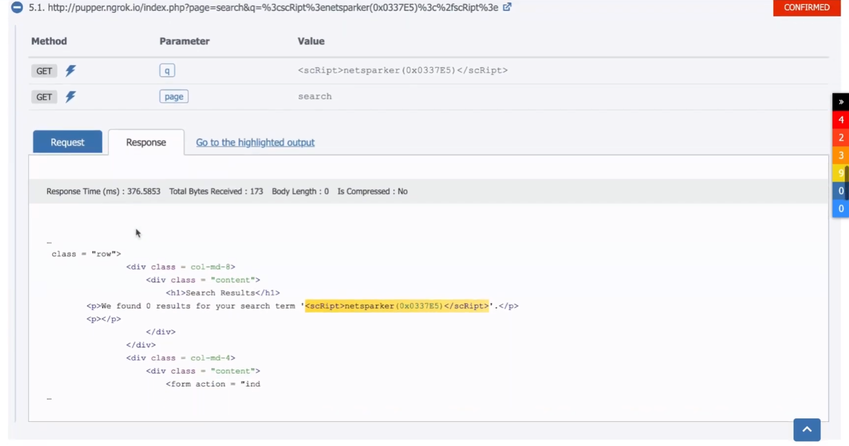 Details of a cross-site scripting vulnerability shown in Netsparker