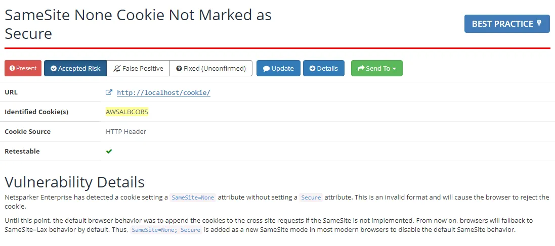 SameSite Cookies Security Check