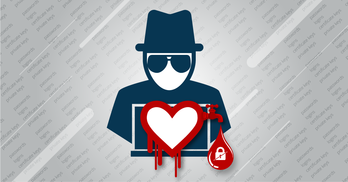 The Heartbleed bug