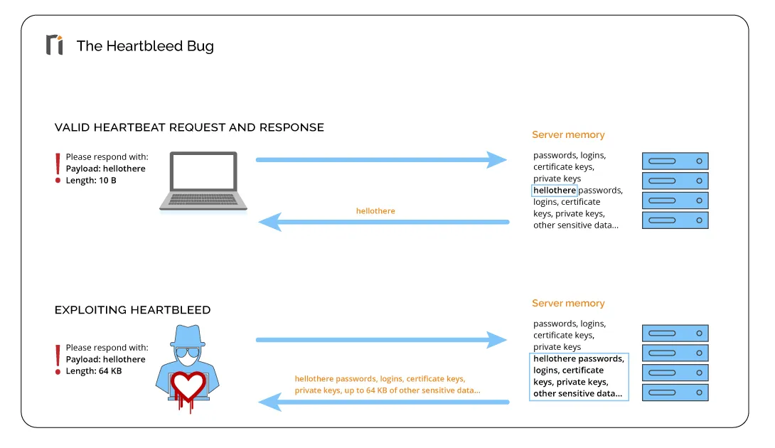 How the Heartbleed bug can be exploited