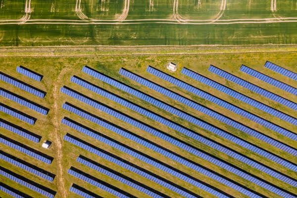An aerial view of a field of solar panels.