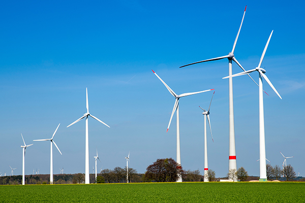 A field with windmills