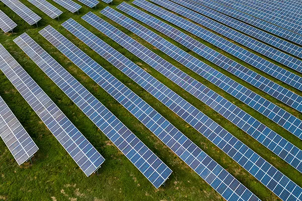 A field filled with solar panels