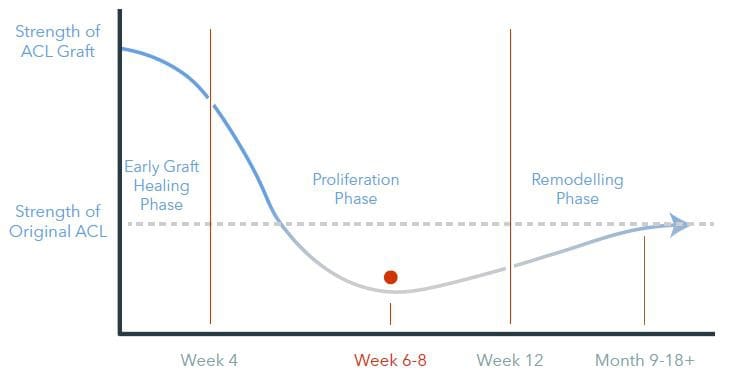 acl-ligament-healing-timeline