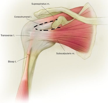 rotator-interval