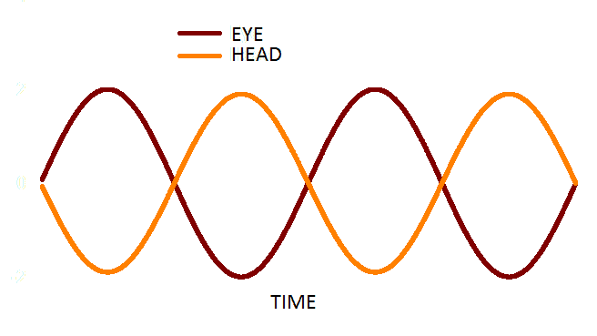 VOR-and-COR-reflex