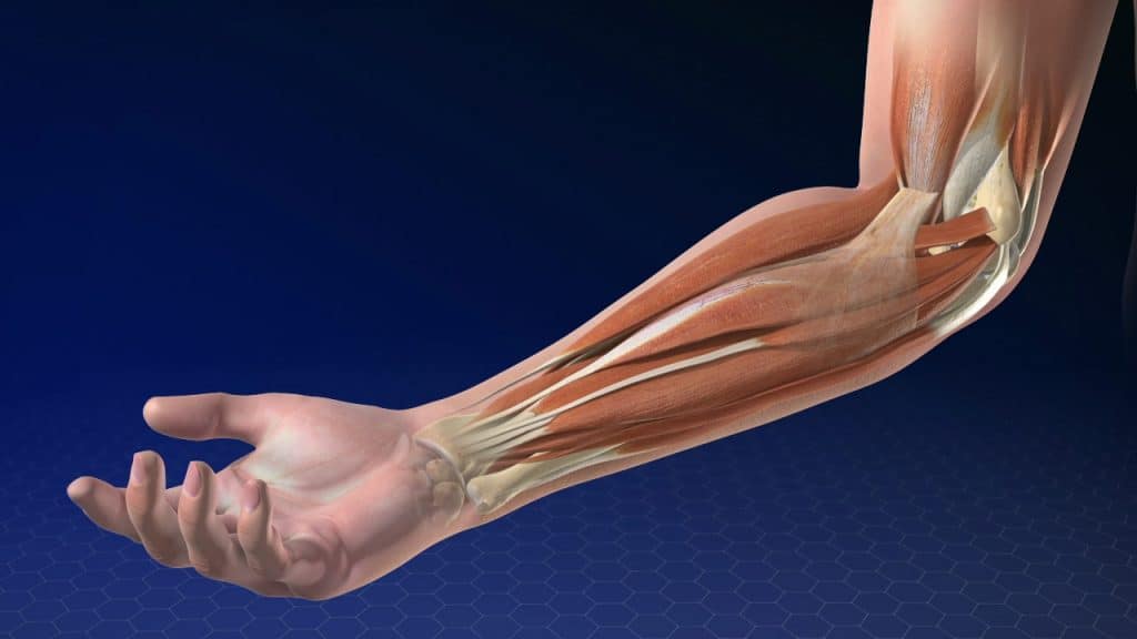 golfers elbow toronto physio