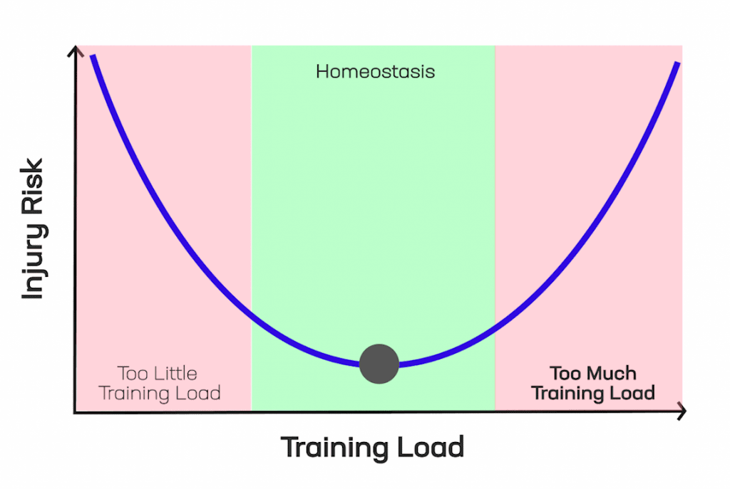 homeostasis-for-tendinitis-e1588648319113-1024x687