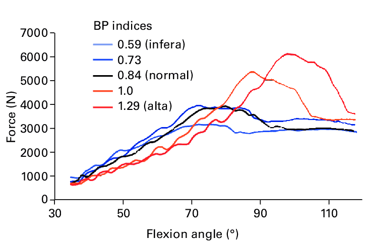Patellofemoral-contact-force-for-the-different-patellar-positions-in-terms-of