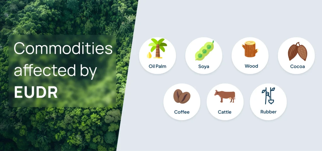 Commodities affected by EUDR