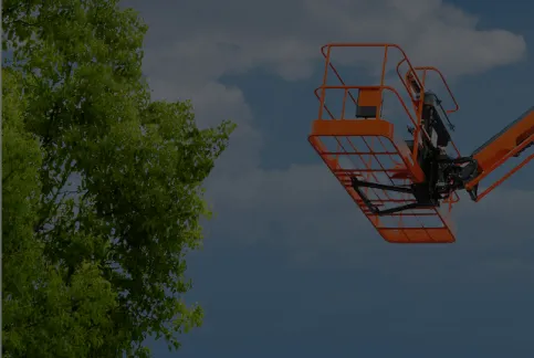 Jornada de Sustentabilidade Mills