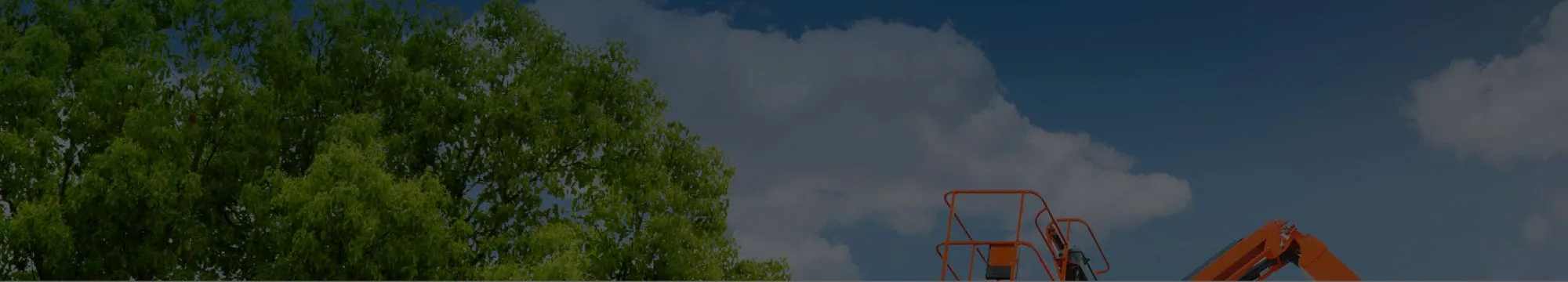 Jornada de Sustentabilidade Mills