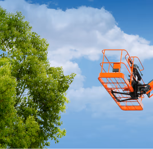 Jornada de Sustentabilidade Mills Máquinas Pesadas