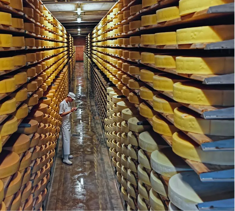 Plataformas Elevatórias para secagem de queijos