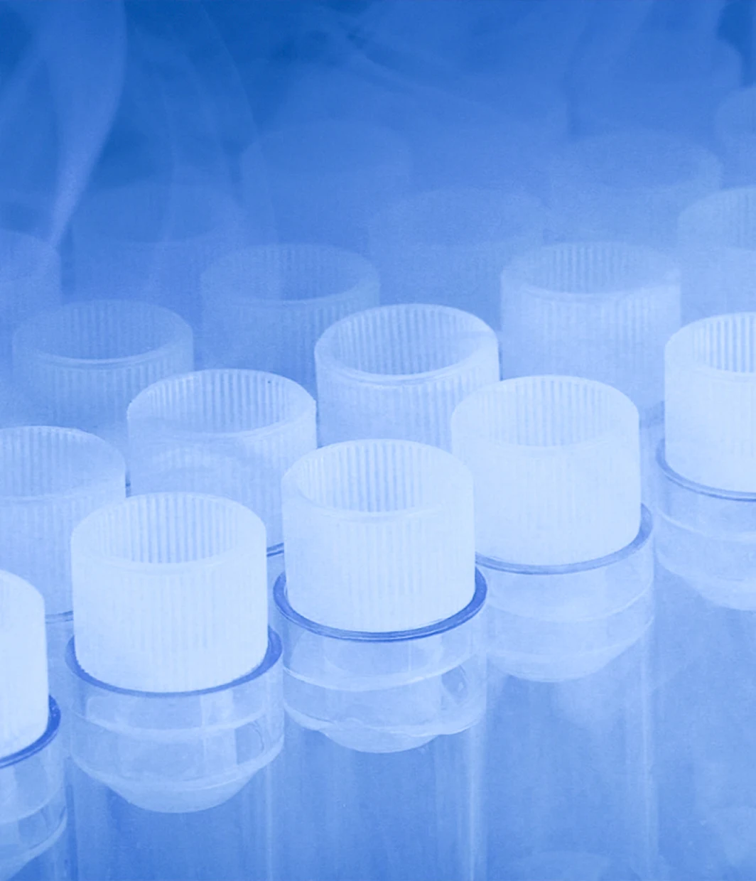 Close-up of multiple transparent plastic vials with white ribbed caps arranged in rows, illuminated with blue light.