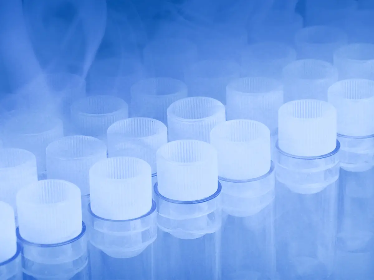 Rows of capped transparent plastic vials in a cold environment with visible mist or vapor.