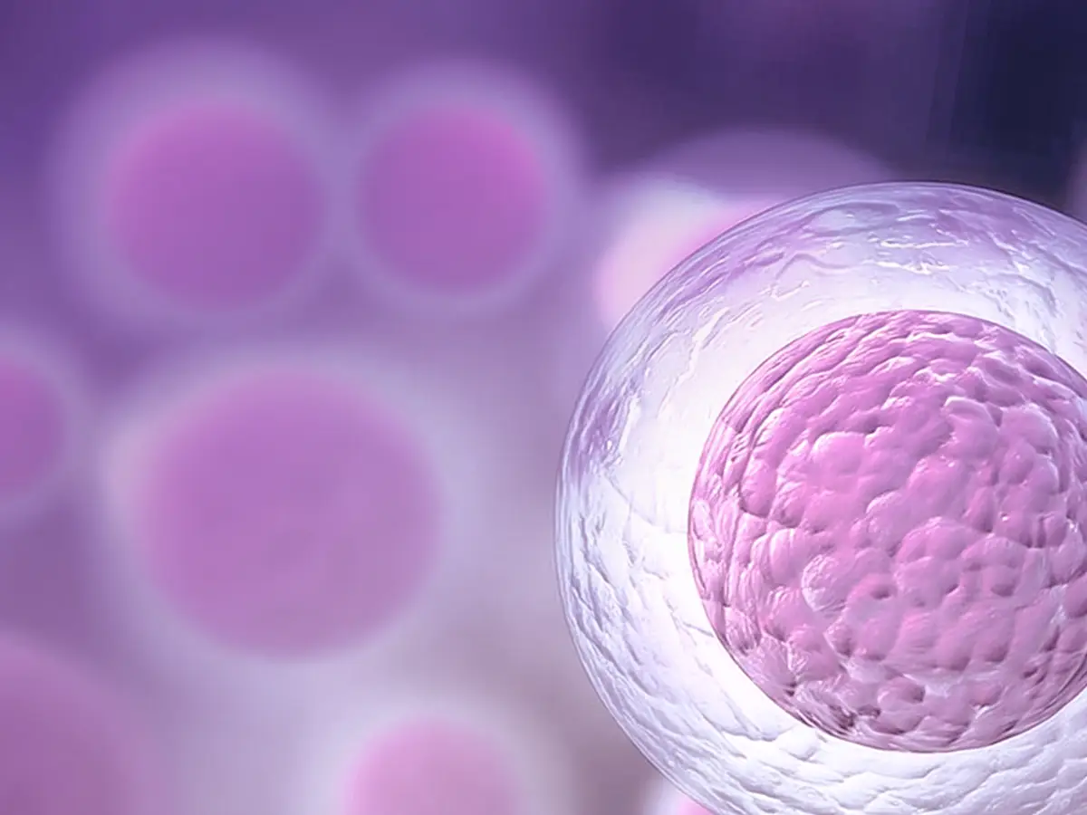 Close-up digital illustration of a translucent cell with a textured pink nucleus surrounded by blurred similar cells on a purple background.
